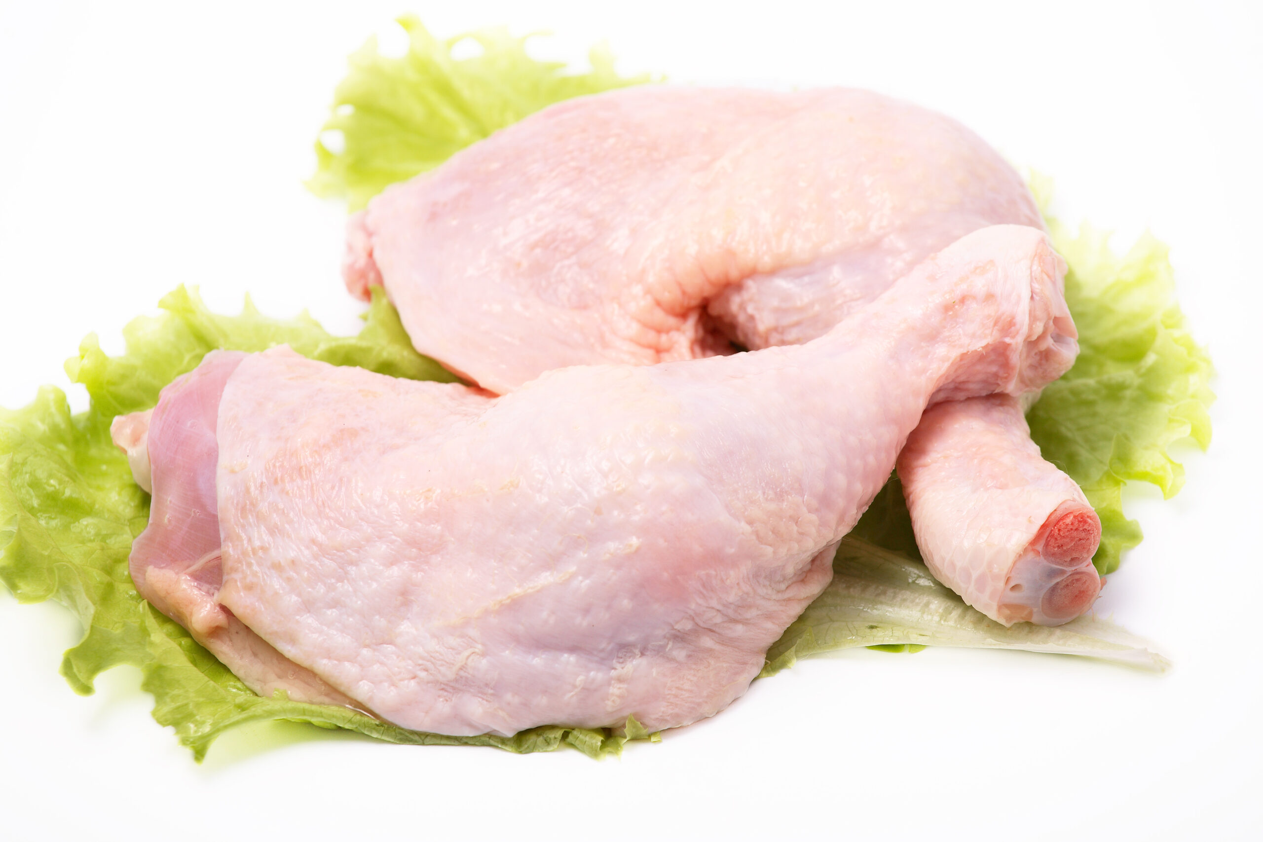 Poultry