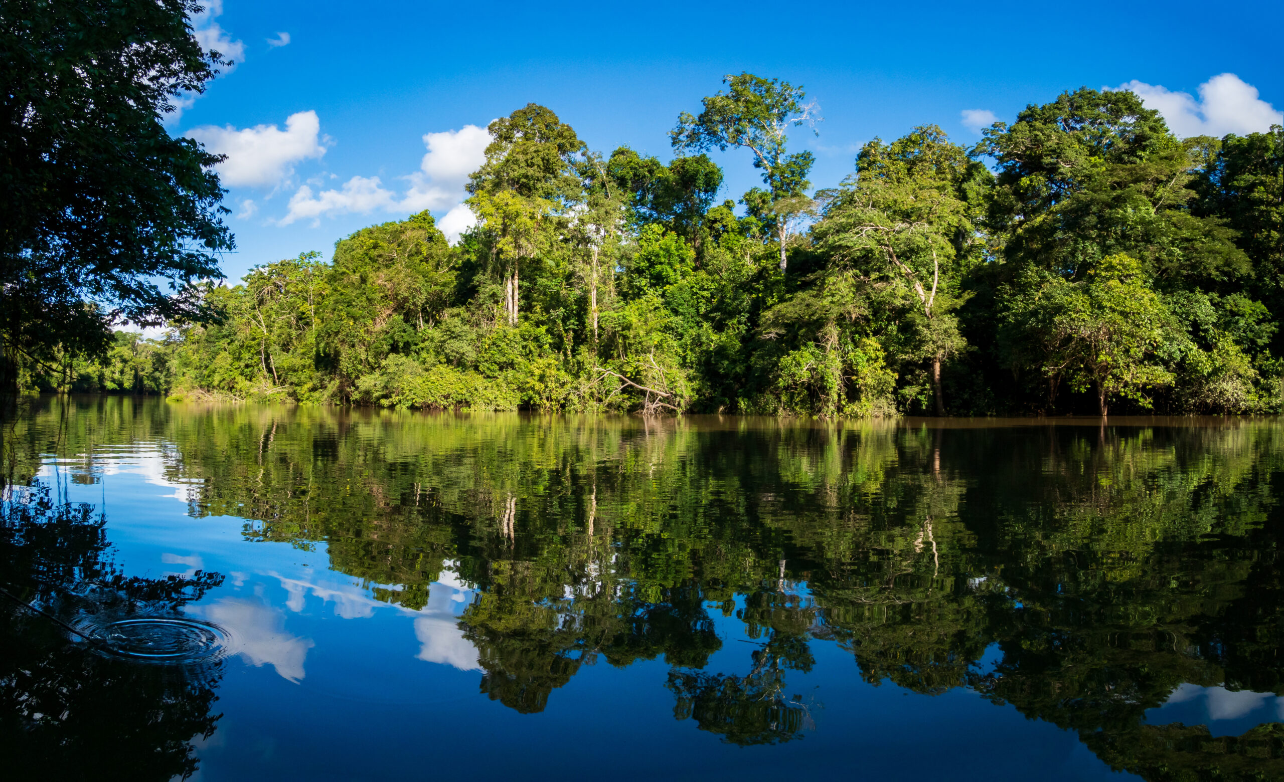 Environment