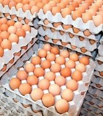 Eggs